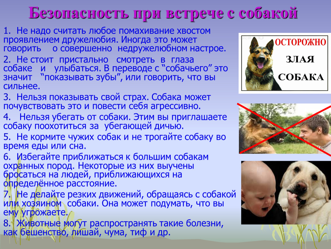 98d84b7c19890597555223a99b240400d1.jpg